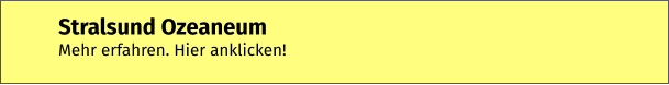 Stralsund Ozeaneum  Mehr erfahren. Hier anklicken!