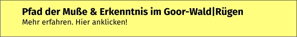Pfad der Muße & Erkenntnis im Goor-Wald|Rügen  Mehr erfahren. Hier anklicken!